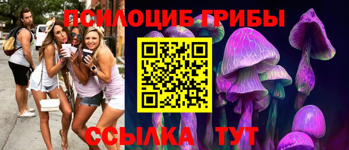 как найти закладки  Вход с VPN  Галлюциногенные грибы мухоморы  Амурск  Галлюциногенные грибы мухоморы 